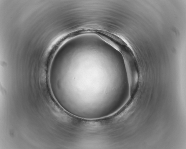 X0000091311115200708101458