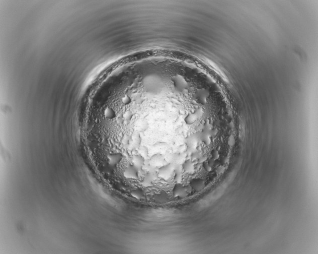 X0000091311117200708101458