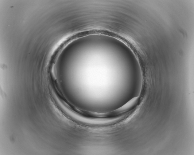 X0000091311118200708101458