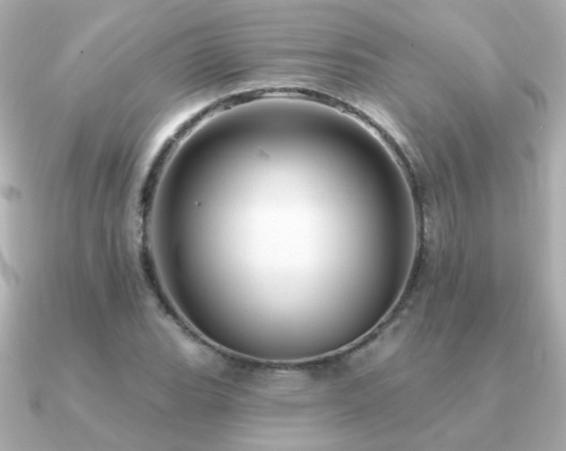 X0000091311119200708101458
