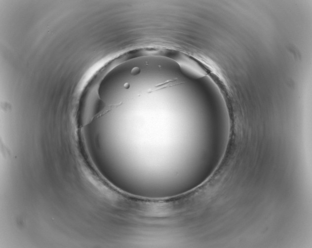 X0000091311120200708101458