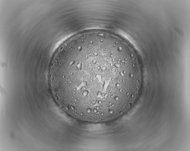 X0000091311121200708101458