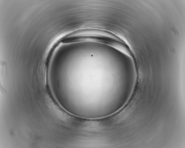 X0000091311123200708101458