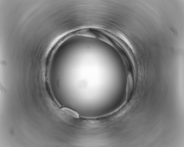 X0000091311124200708101458
