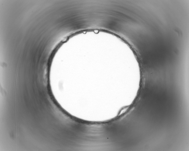 X0000091311126200708101458