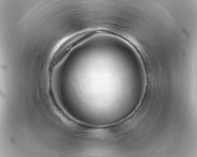 X0000091311127200708101458
