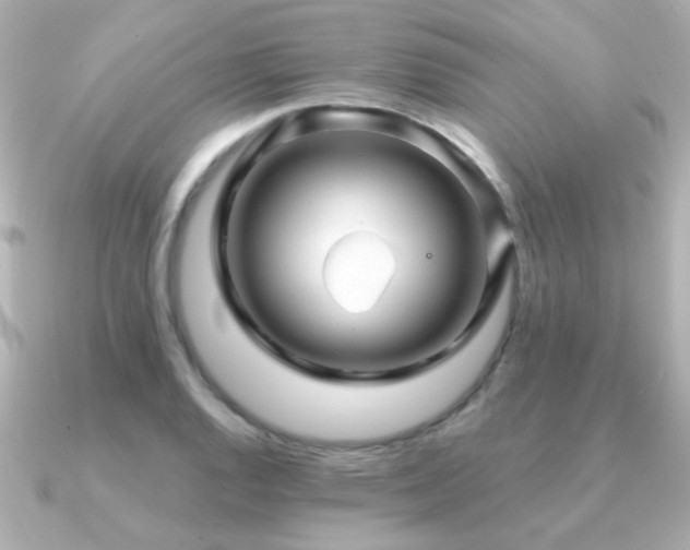 X0000091311128200708101458
