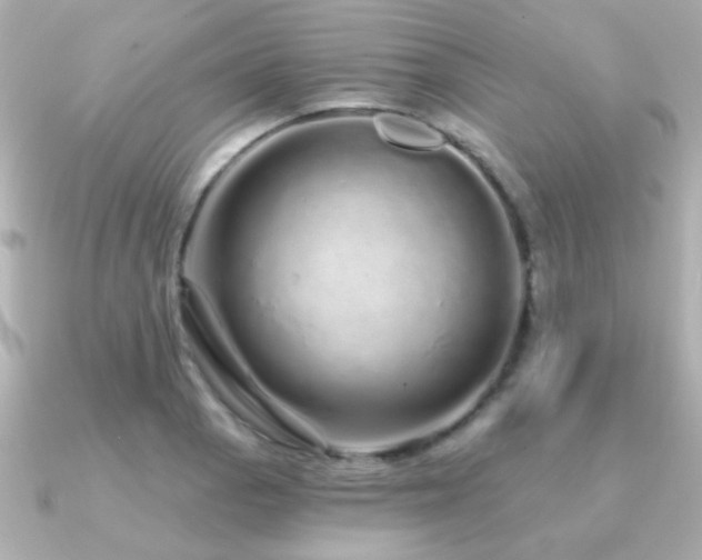 X0000091311129200708101458