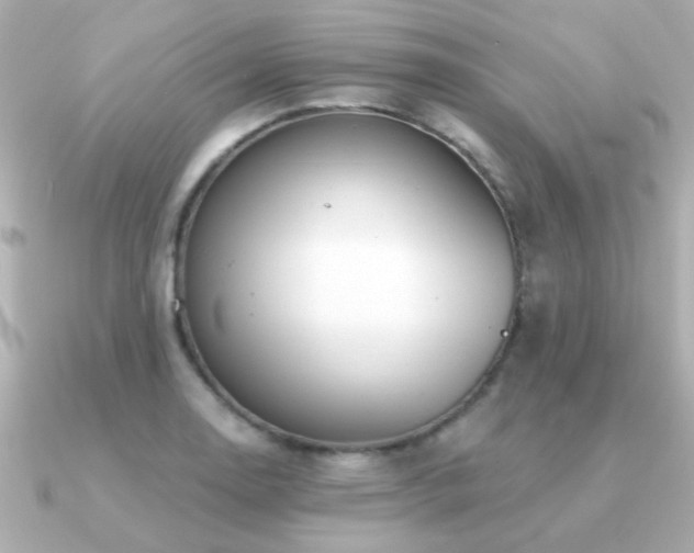 X0000091311130200708101458