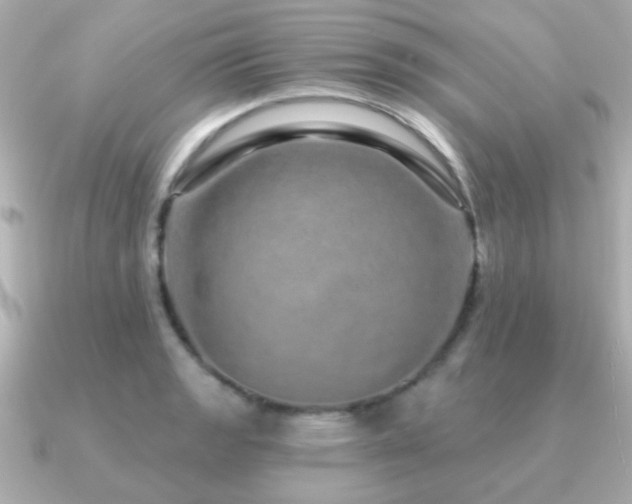 X0000091311133200708101458