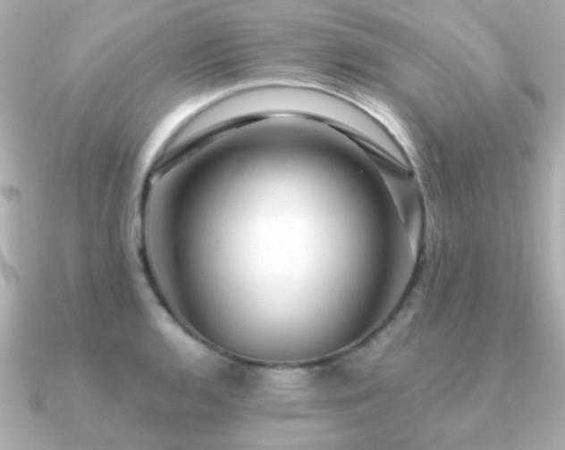X0000091311136200708101459