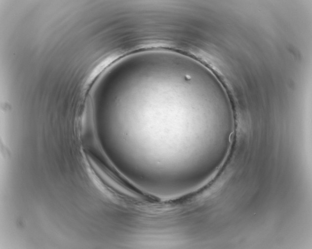 X0000091311137200708101459