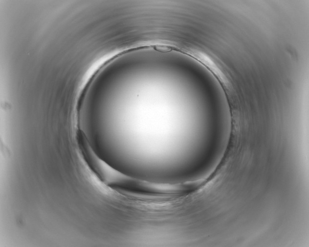X0000091311140200708101459