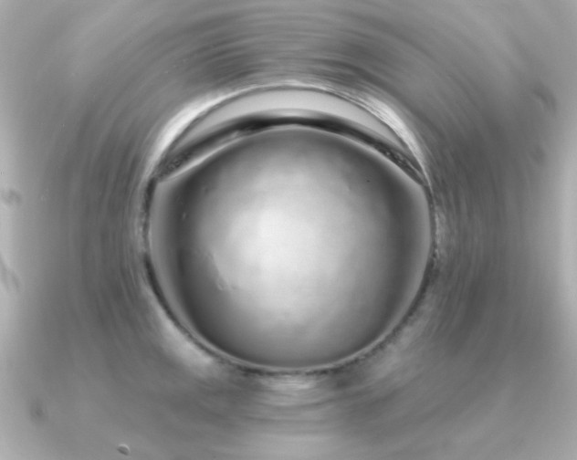 X0000091311141200708101459