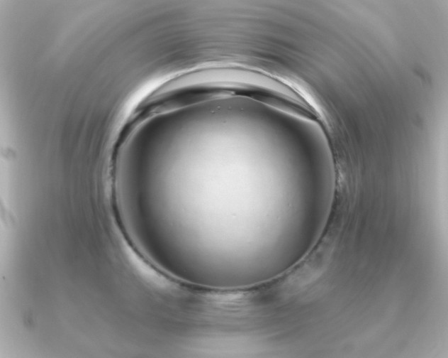 X0000091311143200708101459