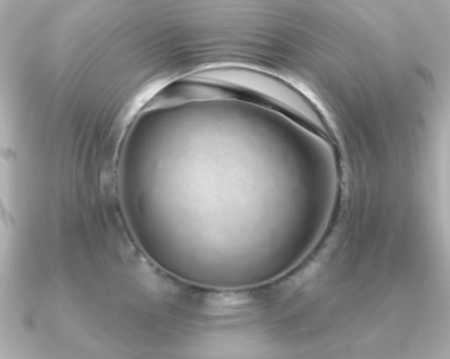 X0000091311145200708101459