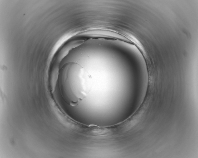 X0000091311146200708101459