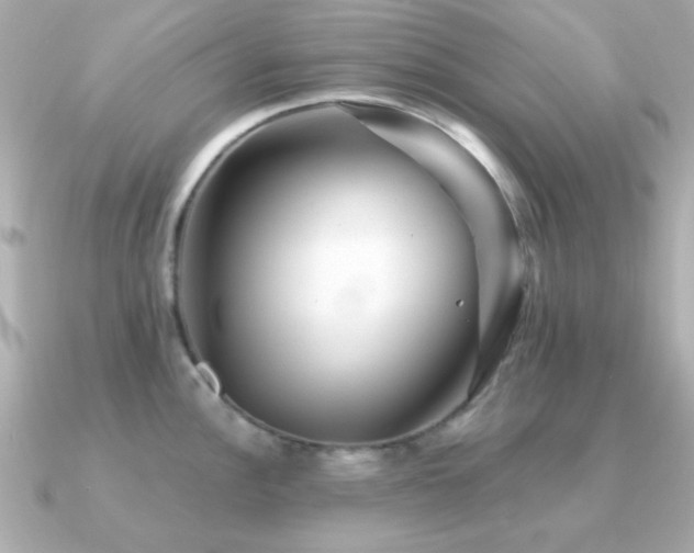 X0000091311148200708101459