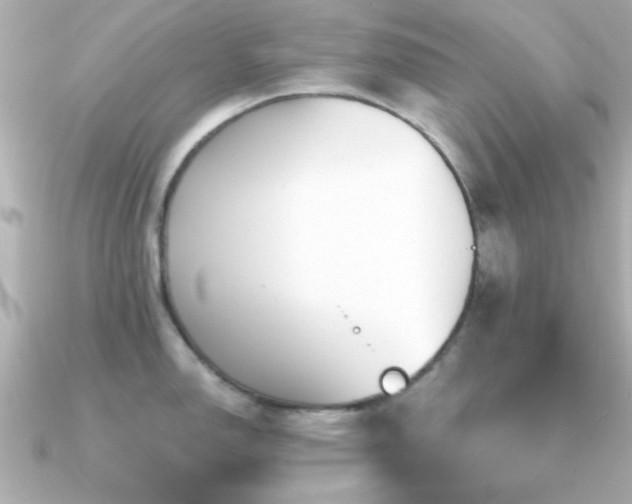X0000091311150200708101459