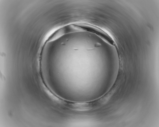 X0000091311151200708101459
