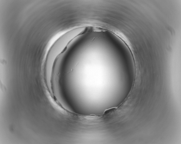 X0000091311152200708101459