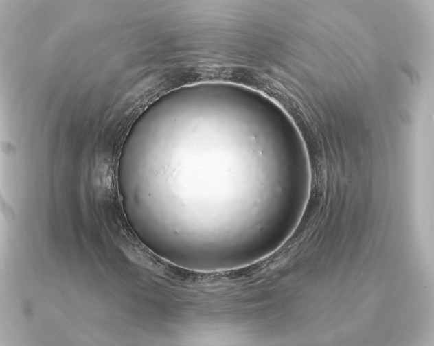 X0000091311154200708101458