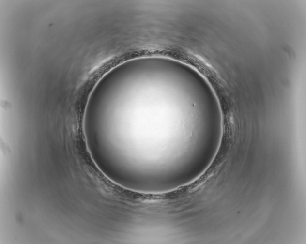 X0000091311158200708101458