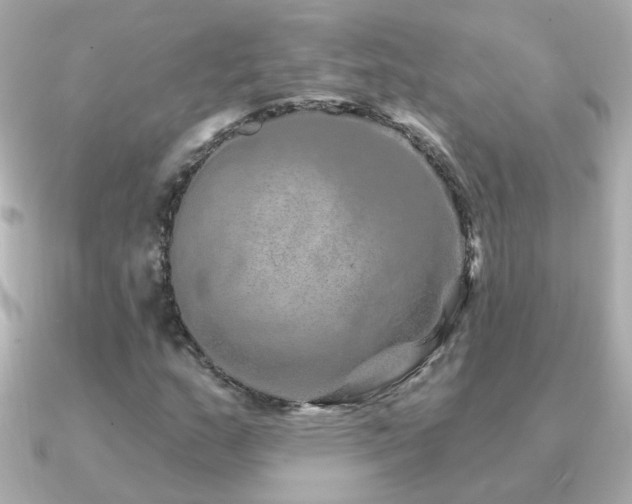 X0000091311159200708101458