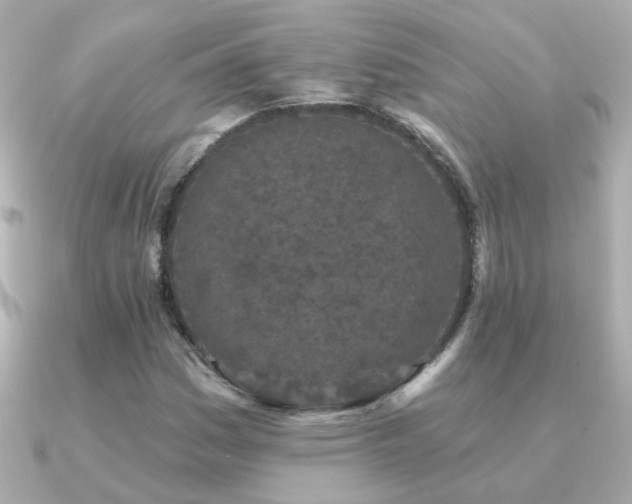 X0000091311161200708101458