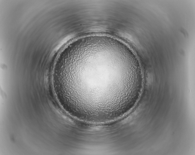 X0000091311162200708101458
