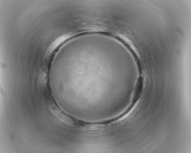 X0000091311163200708101458