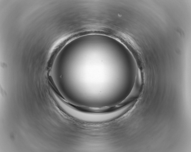 X0000091311164200708101458
