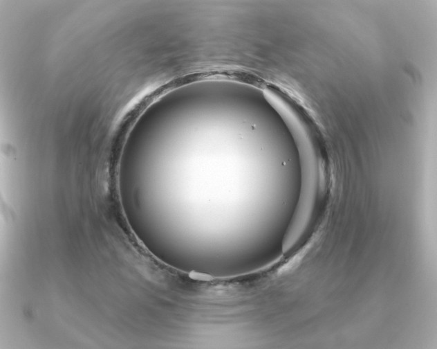 X0000091311165200708101458
