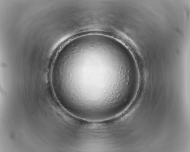 X0000091311166200708101458