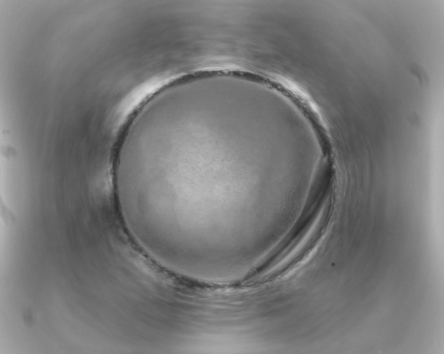 X0000091311167200708101458