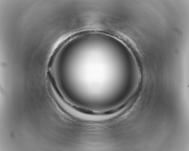 X0000091311168200708101458