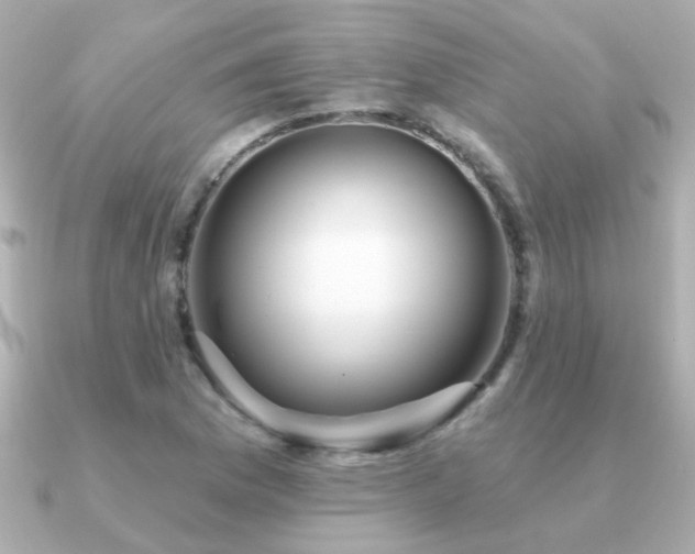 X0000091311169200708101458