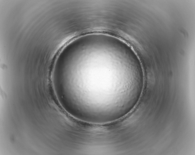 X0000091311170200708101458