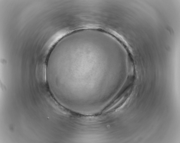 X0000091311171200708101458