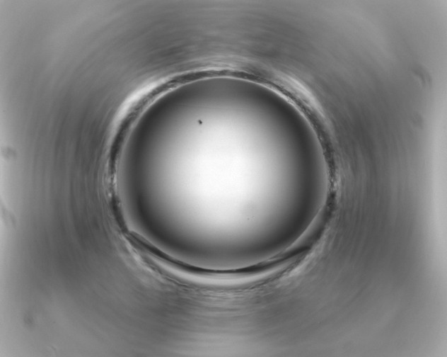 X0000091311172200708101458