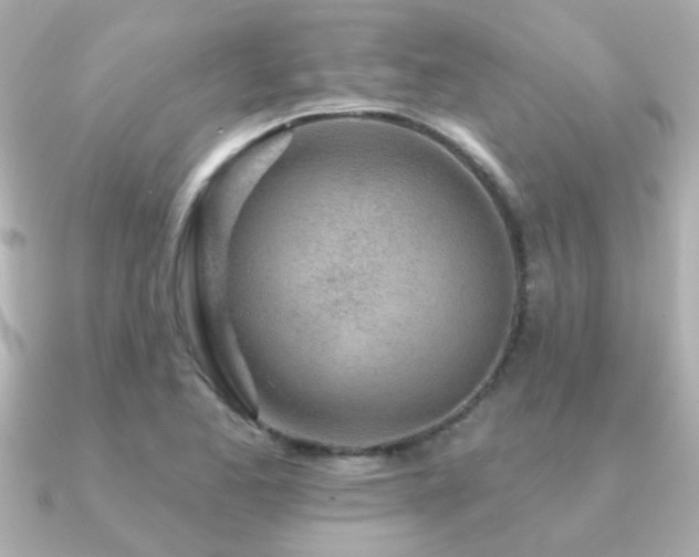 X0000091311173200708101458