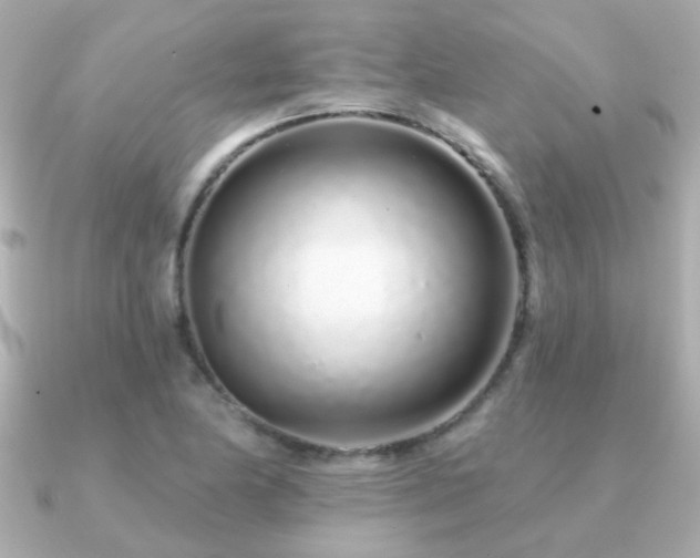 X0000091311174200708101458