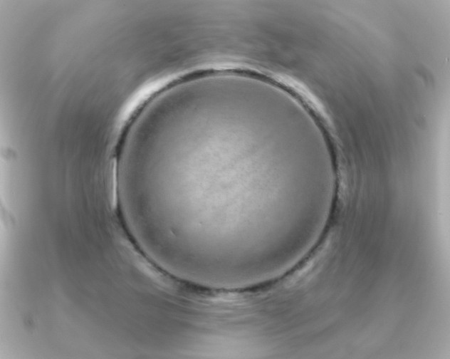 X0000091311175200708101458