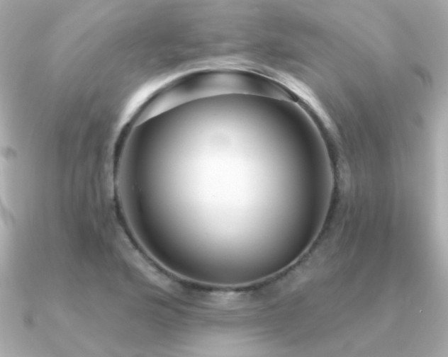 X0000091311176200708101458