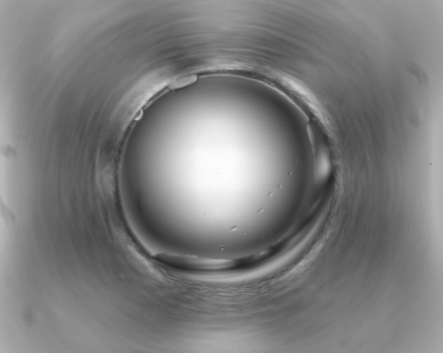 X0000091311177200708101458