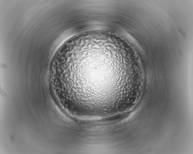 X0000091311178200708101458