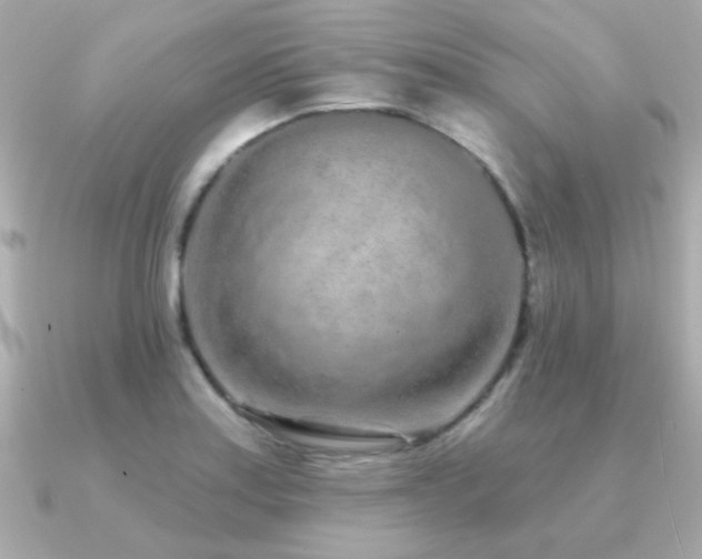X0000091311179200708101458