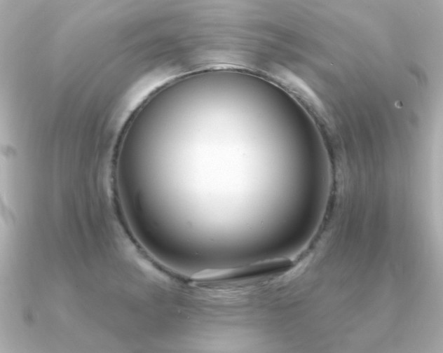X0000091311182200708101458