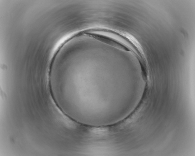 X0000091311183200708101458