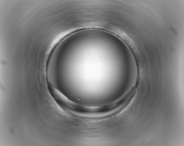 X0000091311184200708101458
